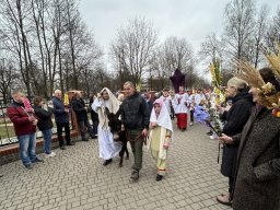 13.04.2025 Нядзеля Мукі Пана (Вербная нядзеля)