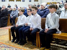 04.03.2025kazimir_brama019