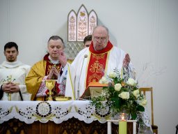 04.03.2025kazimir_brama030