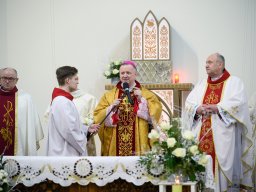 04.03.2025kazimir_brama036