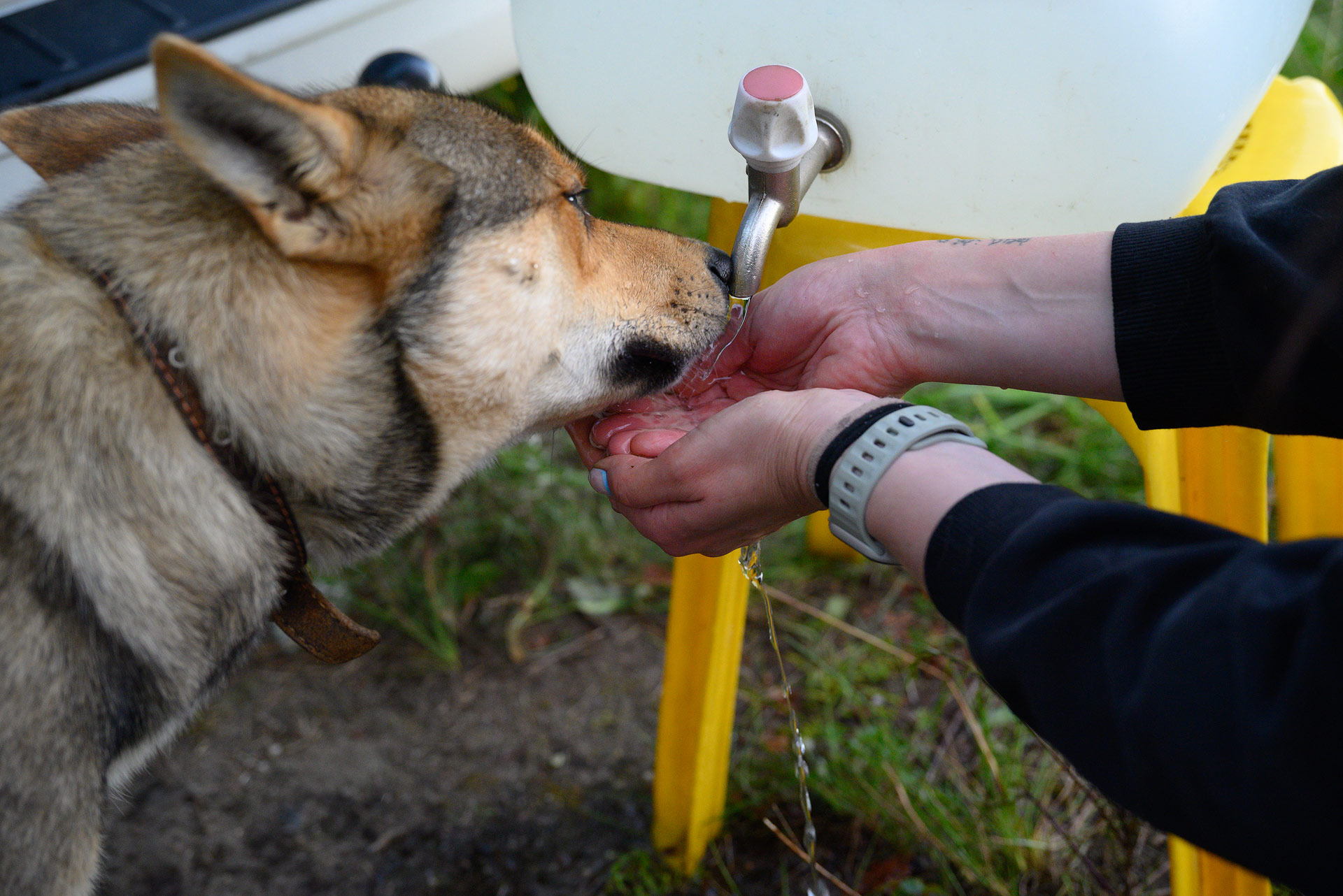 4.07.2025 budslav piligr0139