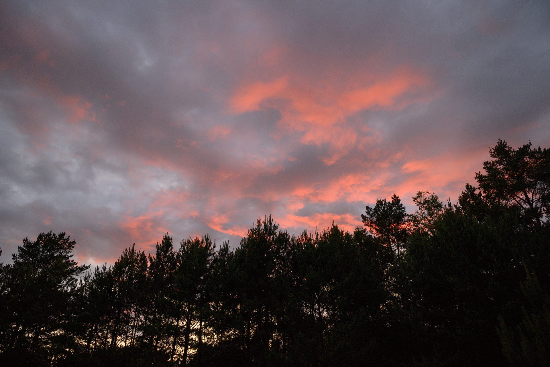 4.07.2025 budslav piligr0145