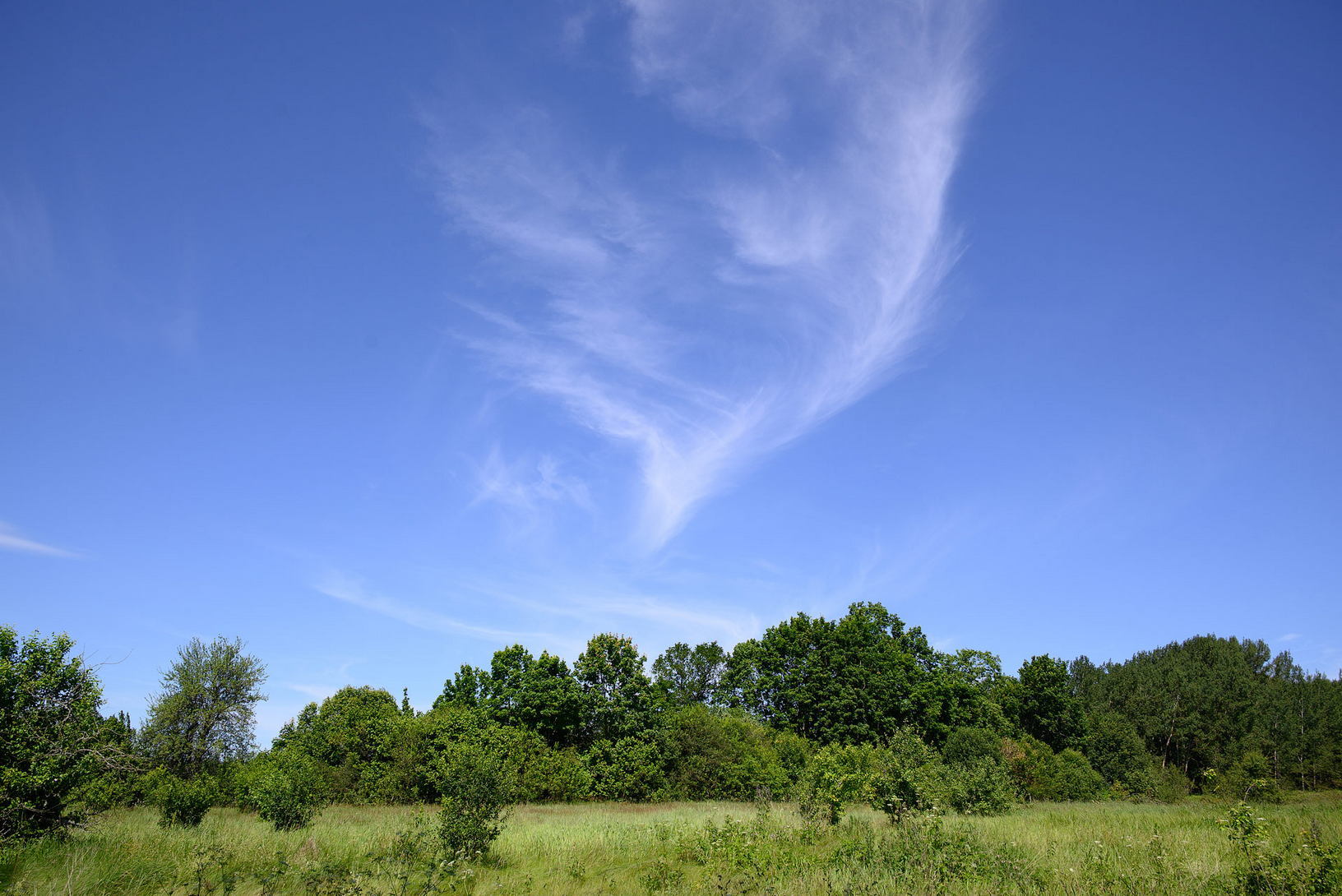 4.07.2025 budslav piligr0248